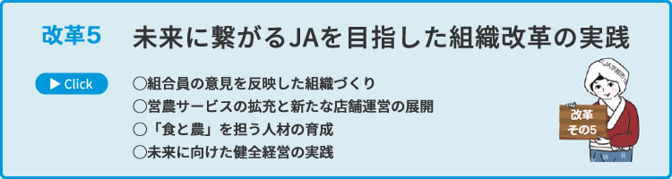 改革5